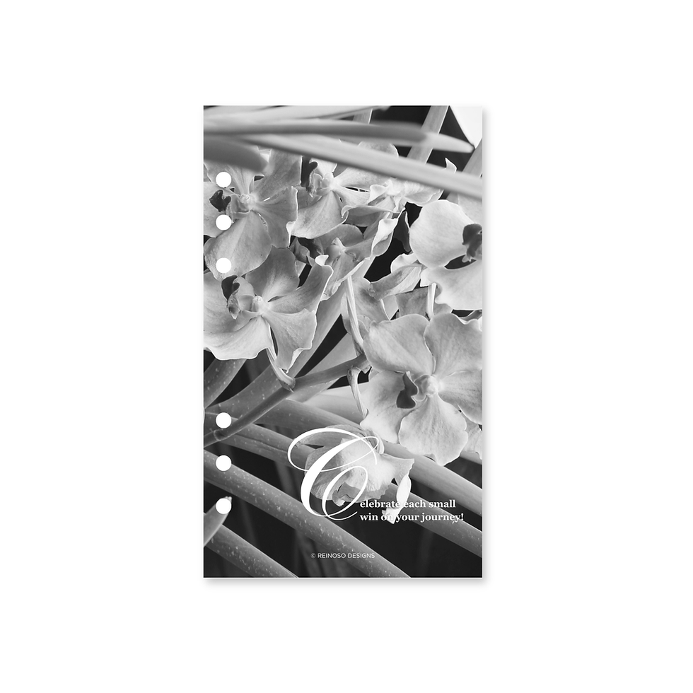 Thumbnail: The Classic Edition ©: Signature B&W Dashboard 🏛️