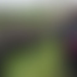 Packing up for the winter