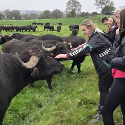 Packing up for the winter