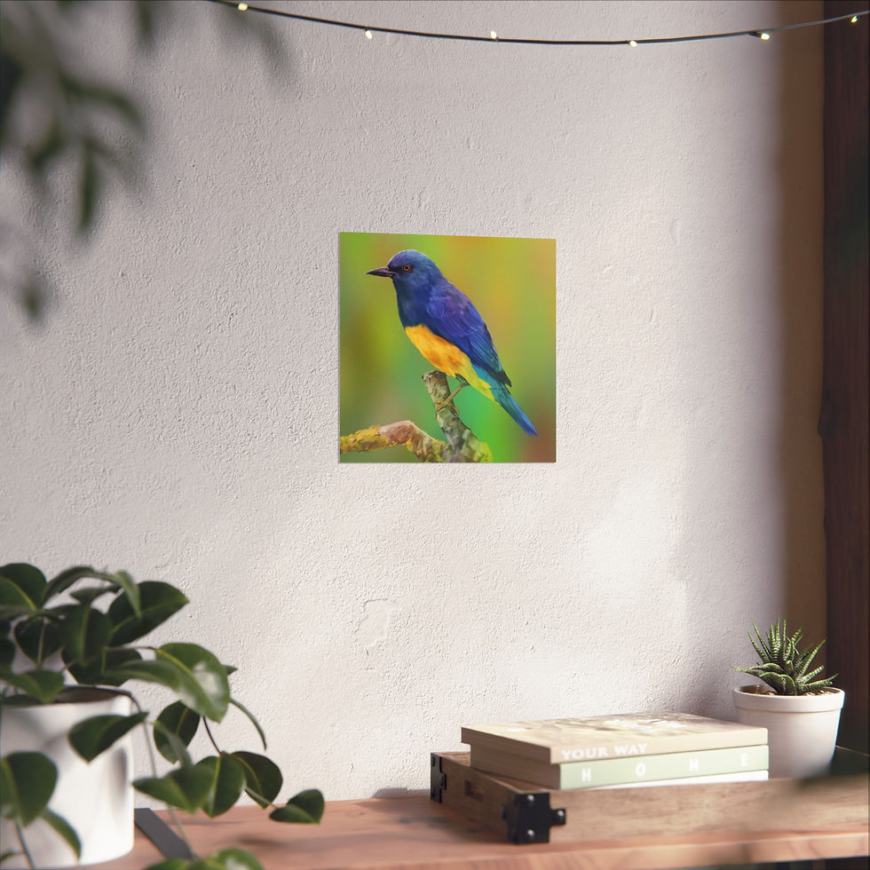 Thumbnail: Blue Backed Tanager Bird Fine Art Poster — Vibrant Nature Wall Art