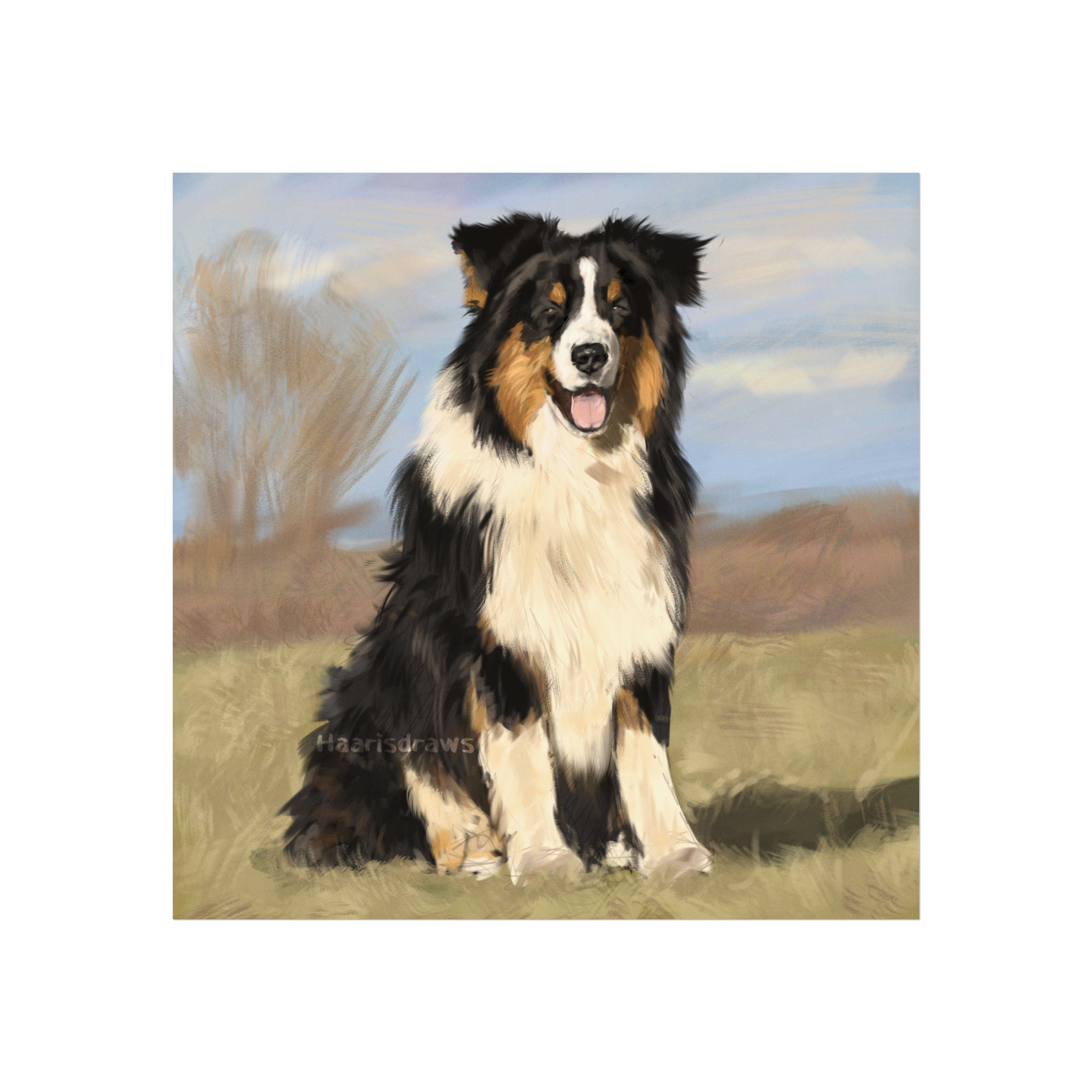 Australian Shepherd — Fine Art Poster