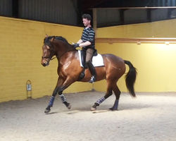 Ochenta and Robert April 2015 canter