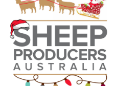 As the year comes to an end, I’d like to thank sheep producers and industry partners across Australia for the effort, resilience and engagement you’ve shown throughout 2025.