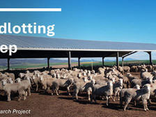 Every year, Sheep Producers Australia partners with the Australian National University (ANU) to provide students with the opportunity to undertake research on issues important to the Australian sheep industry.