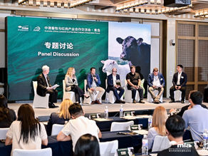 Earlier this month, myself and Sheep Producers Australia Director of Policy Corinne Dooley, travelled to China as part of the Australia-China Livestock and Red Meat Industry Cooperation Program.