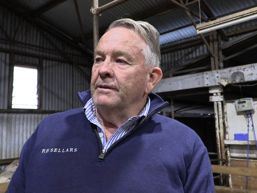 At Keith in South Australia, sheep producers are sharing their views as part of The Future Flock consultation.