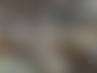 As part of the WA Roadmap to 2028, the Strategic Steering Group(SSG) commissioned a report to establish as baseline of the current state of the industry.