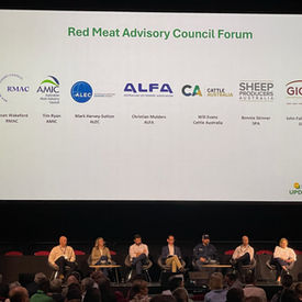 What could a profitable sheep enterprise look like in 2030?