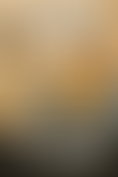 Don’t Let Memes Be All You Read Today: The Value of Deeper Content