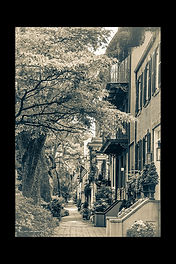 Rue de la ville de Savannah aux Etats-Unis