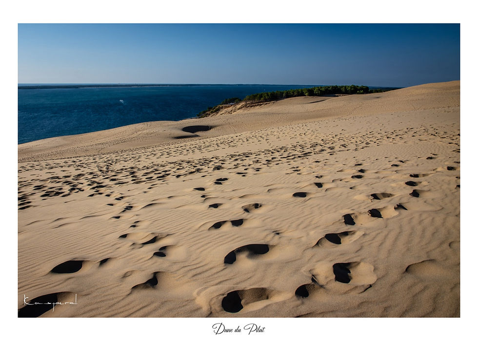 Traces de pas et ondulations dans le sable fin de la Dune du Pilat