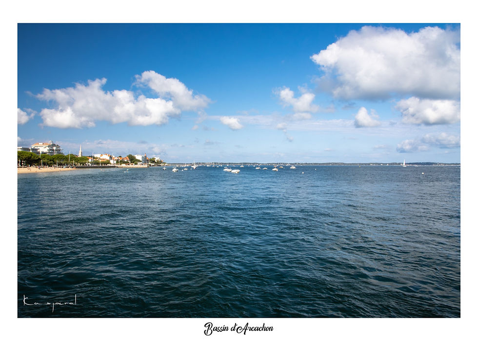 Vue panoramique sur le Bassin d’Arcachon avec ses eaux calmes et ses paysages marins