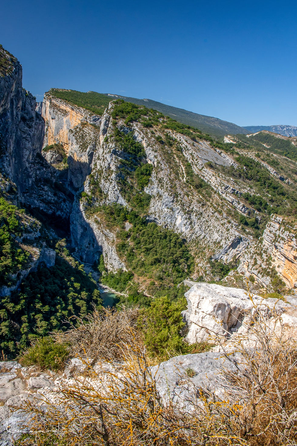 Miniature : La rivière Verdon s'engouffre entre de hautes falaises de calcaire à cet endroit nommé le Point Sublime