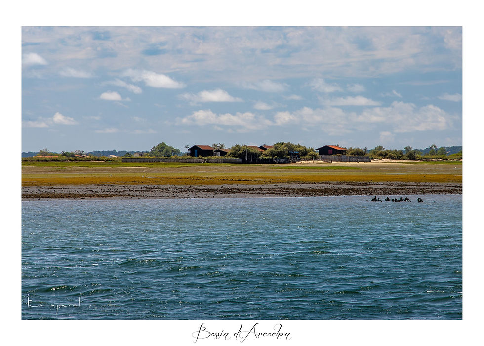 Bassin d'Arcachon à marée basse
