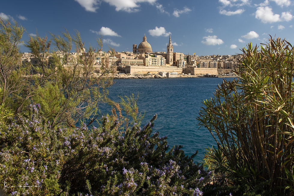 Miniature : La ville de La Valette vue au travers de la végétation qui borde les allées de Tigné Point à Sliema
