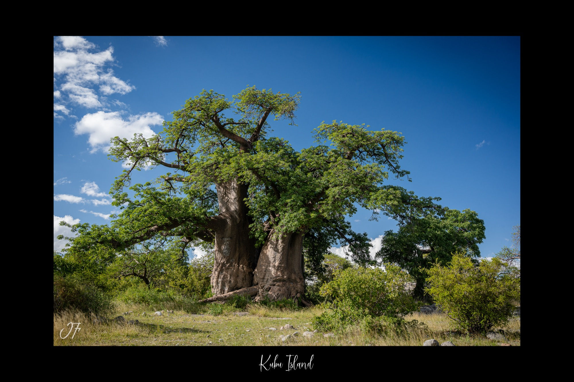 Kubu Island - Botswana