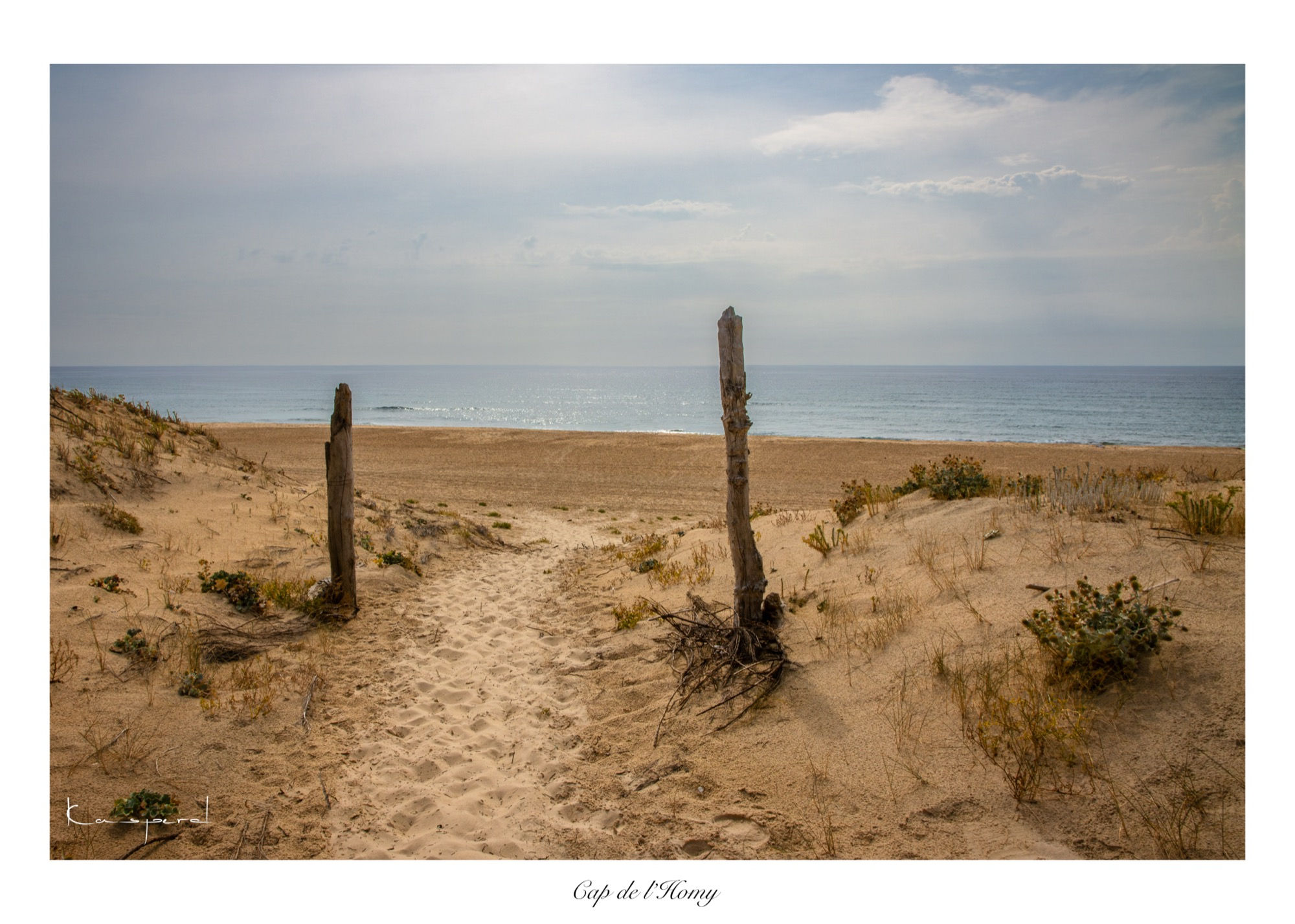 Plage du Cap de l’Homy bordée par les dunes et, hors champ, la forêt de pins des Landes.