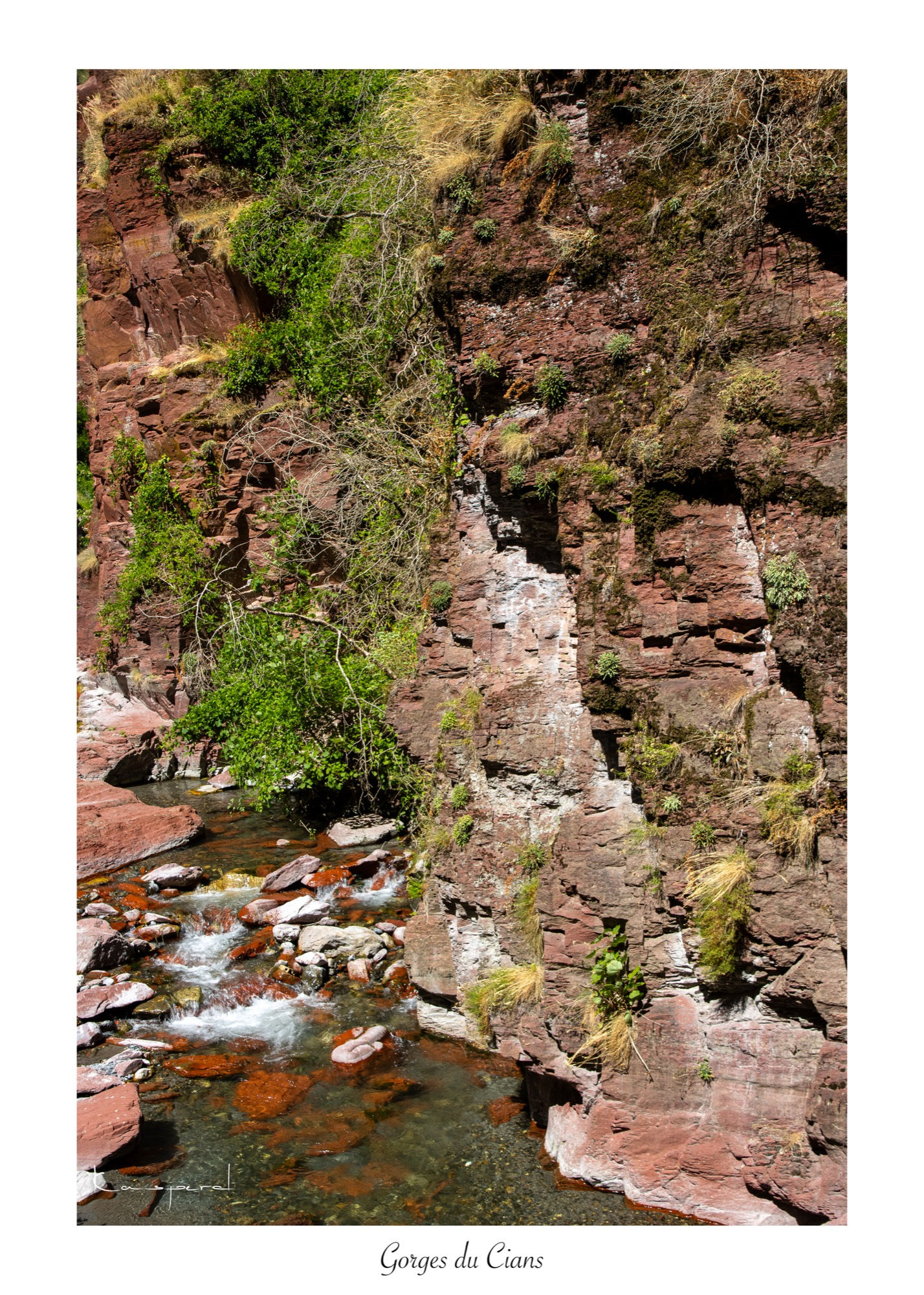 Le Cians se faufilent entre les roches rouges des vastes gorges qui l'entourent