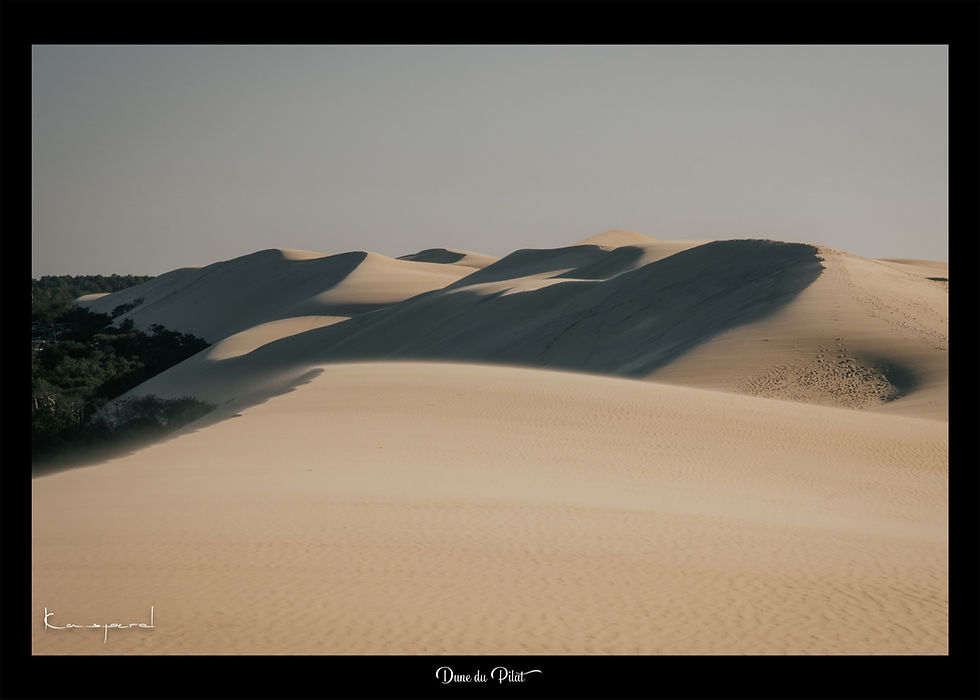 Image vieillie de la dune du Pilat sur laquelle souffle un léger vent