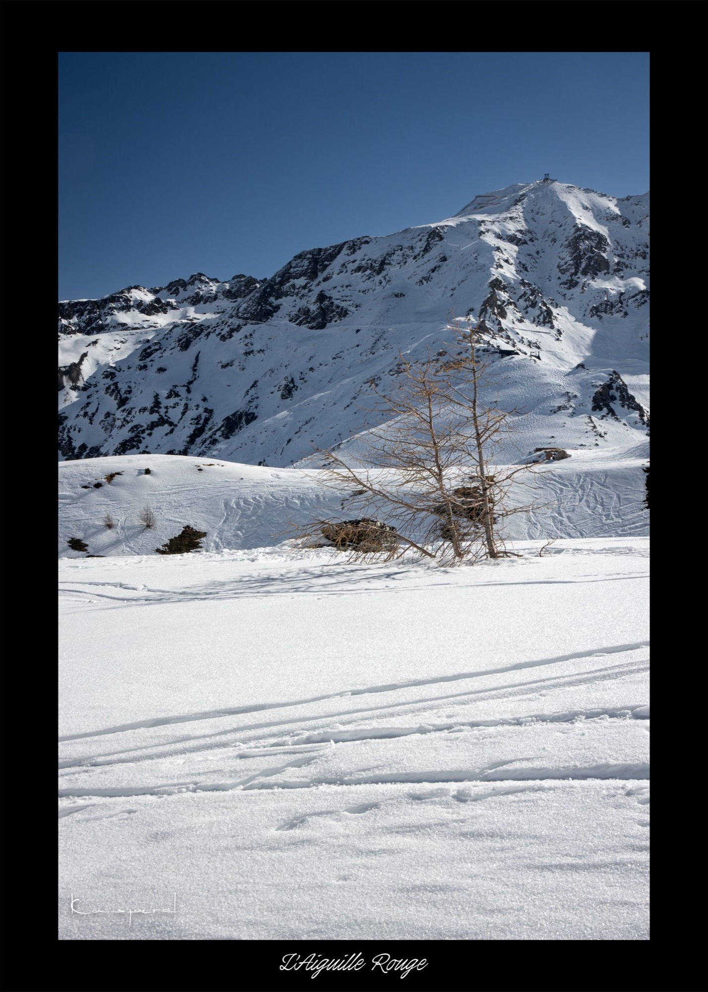 Un arbre aux couleurs d'automne se démarque au milieu d'un vaste panorama de neige immaculée