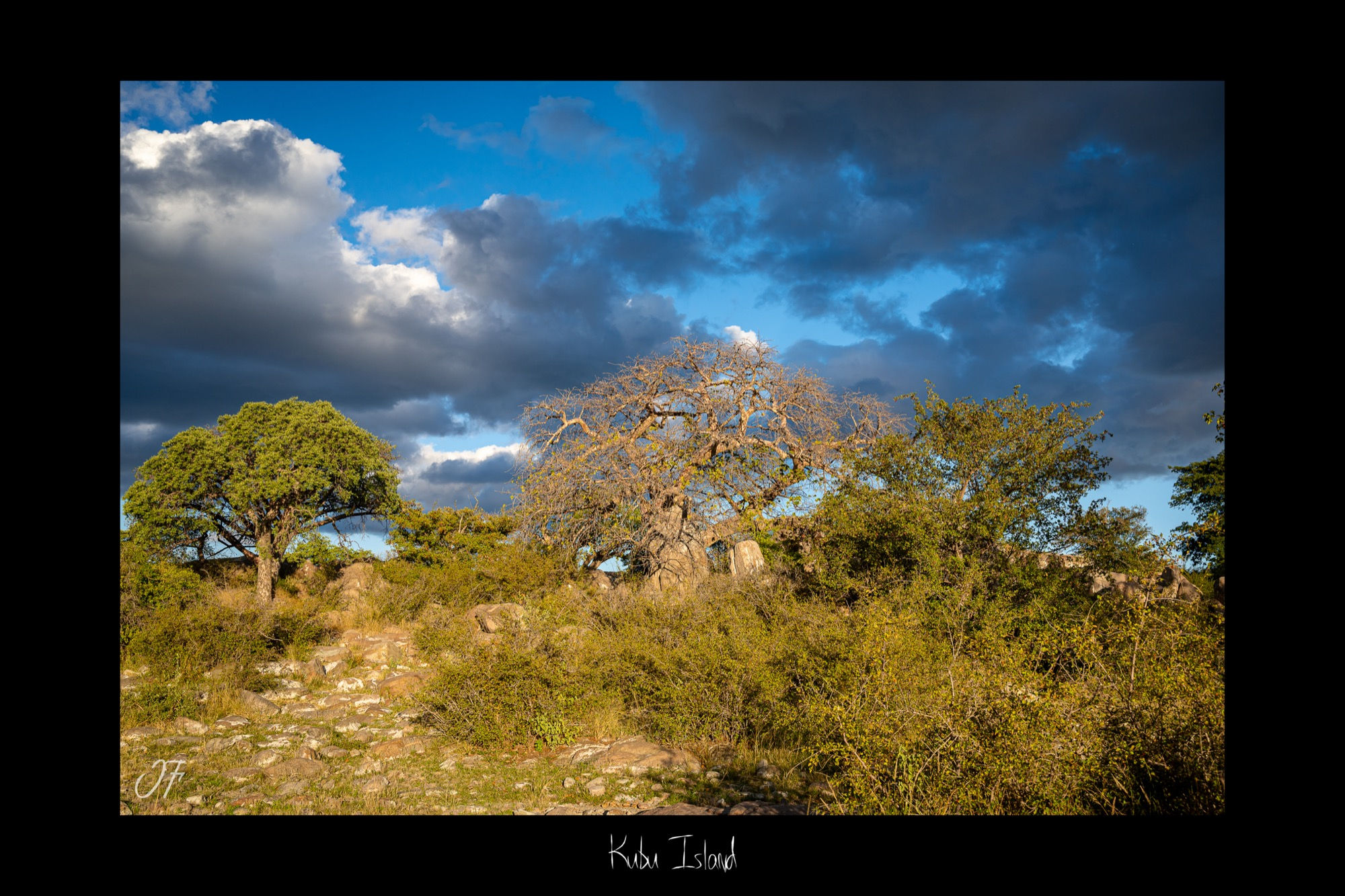 Kubu Island - Botswana