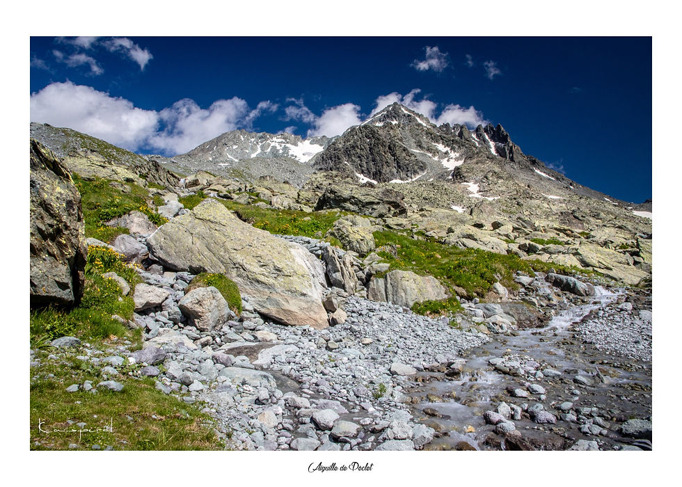 Torrent de montagne au coeur d'un massif des Alpes Françaises