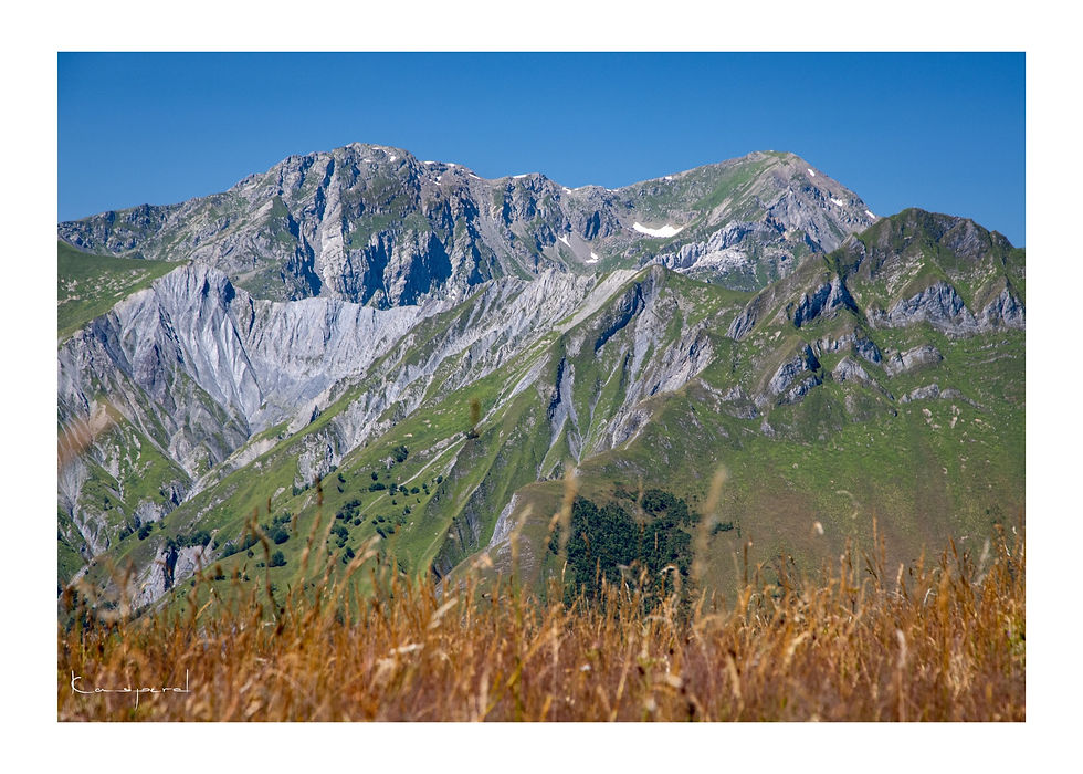 Sommets verdoyants en été en savoie