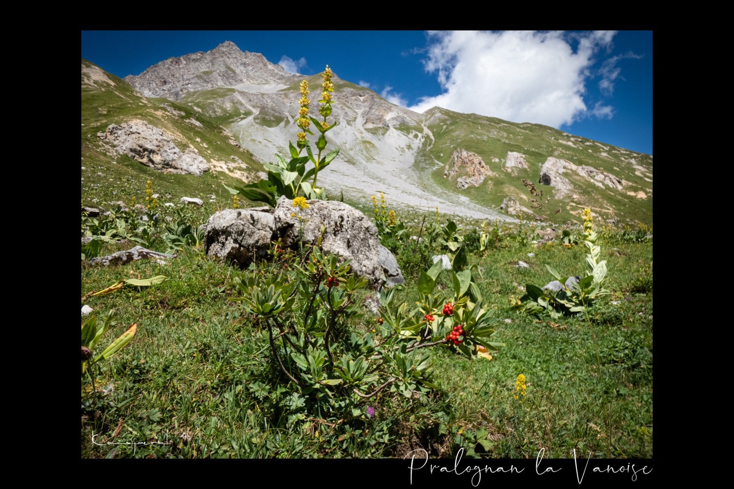 Pralognan la Vanoise