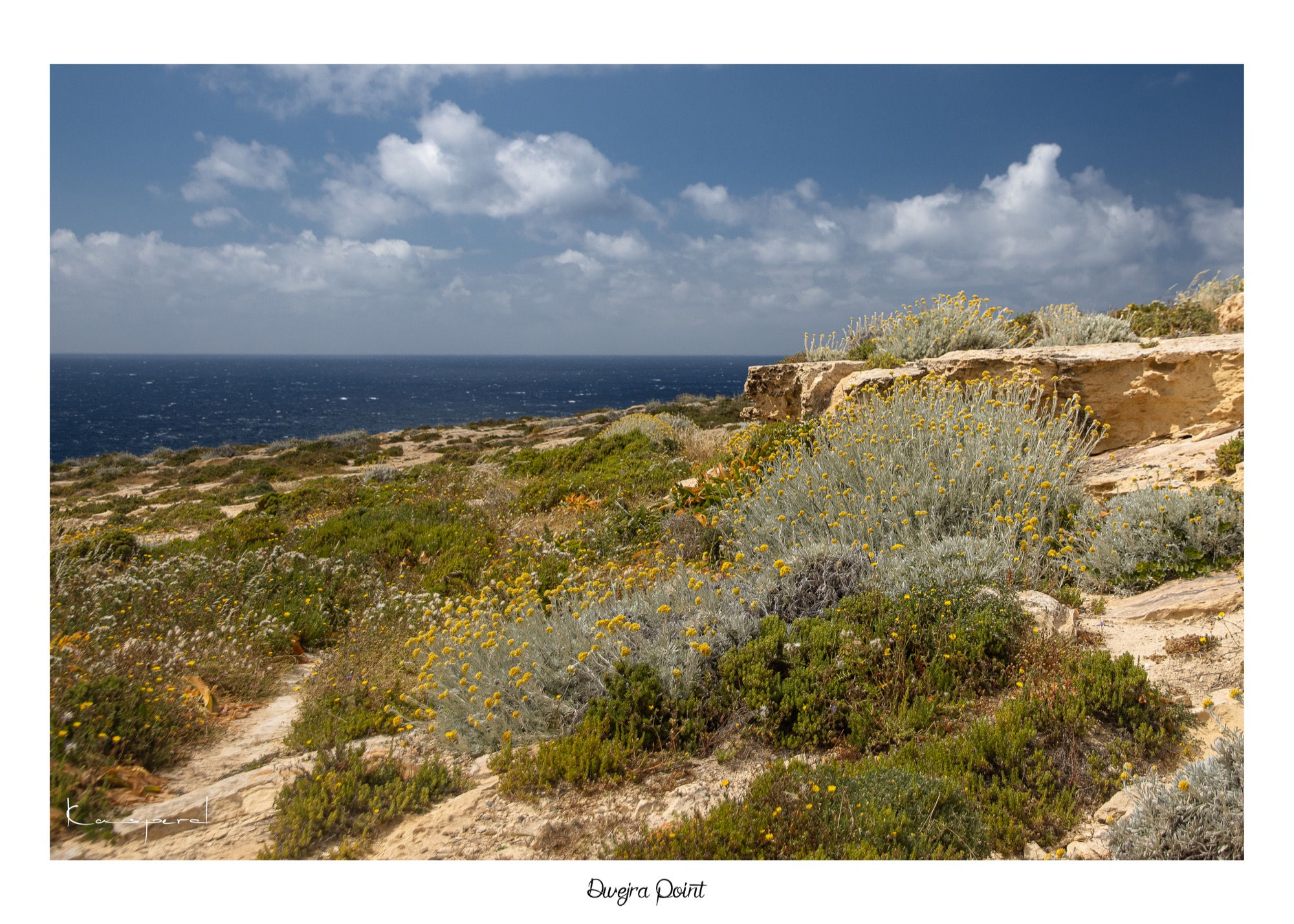 Vaste plateau de roche calcaire parsemé de végétation Méditerranéenne à Gozo