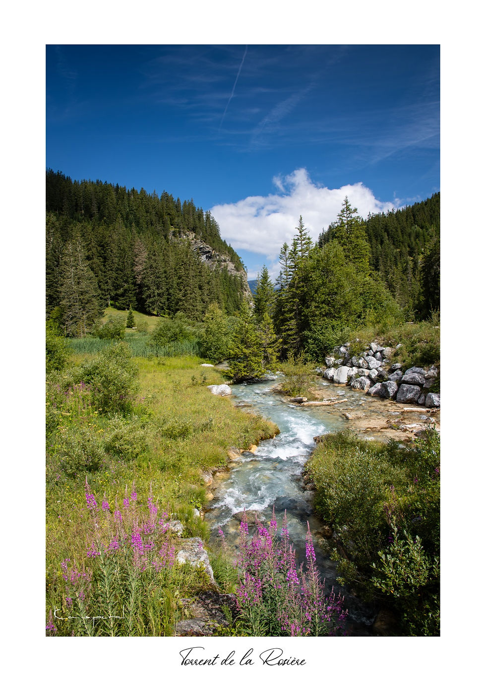 Forêt alpine au pied de la Dent du Villard entourant le lac et le Torrent de la Rosière à Courchevel en été.
