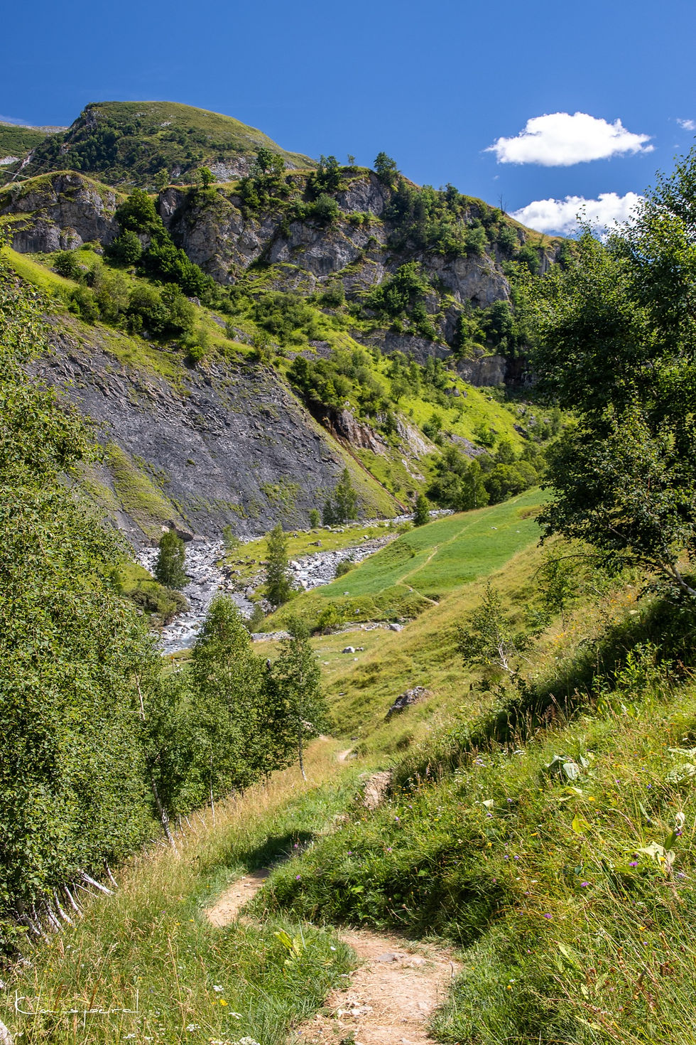 Miniature : Vallée au fond de laquelle coule un torrent dans les Alpes