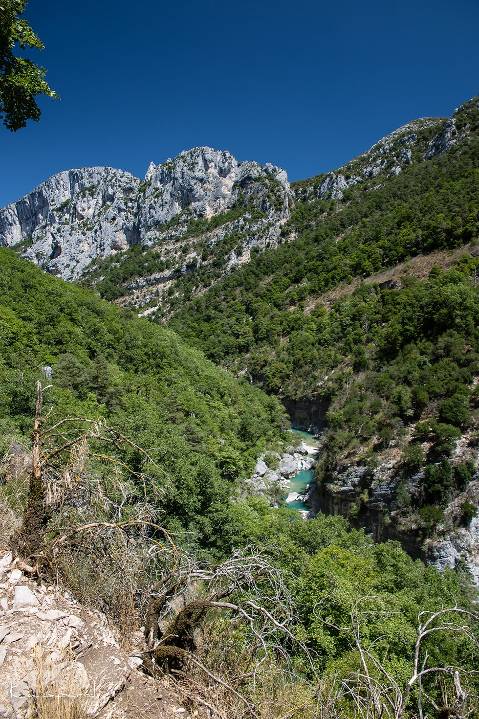 Miniature : Vue sur les gorges du Verdon depuis un sentier de randonnée avec en contrebas la rivière turquoise