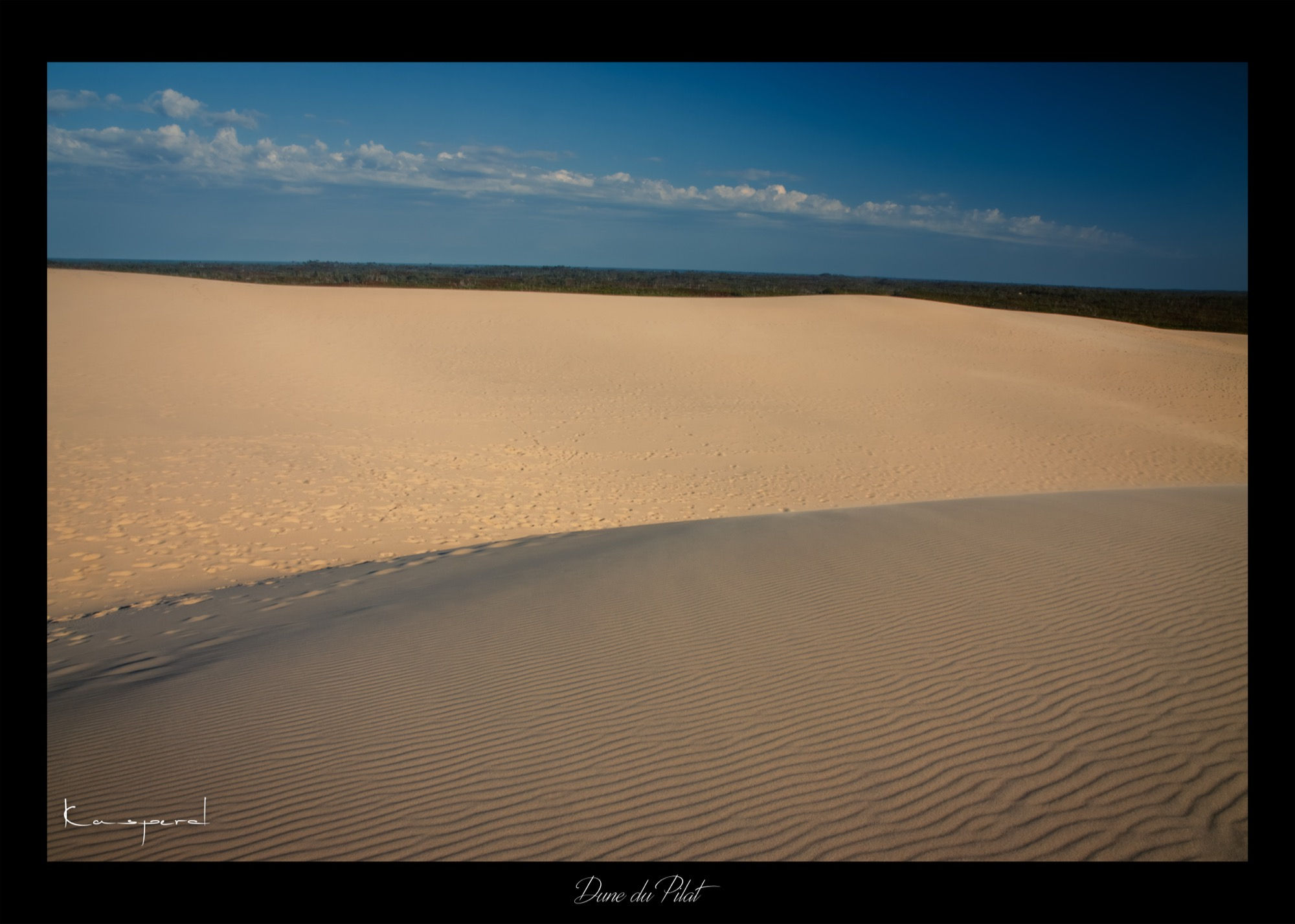 Vaste étendue de sable de la Dune du Pilat et au fond les cimes des pins de la forêt voisine