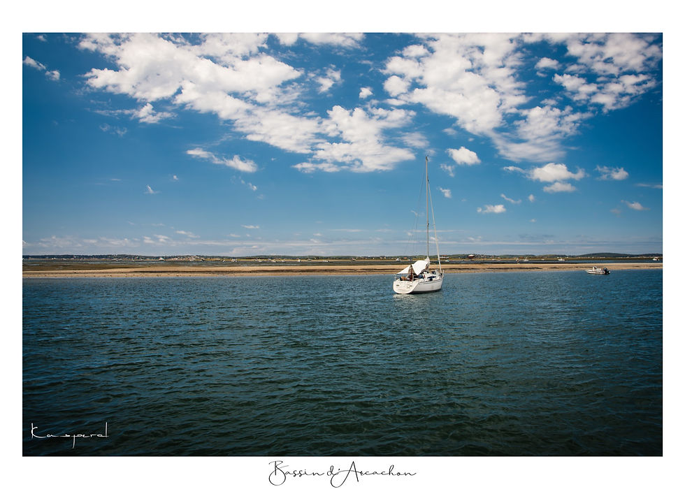 Bateau qui navigue sur le bassin d'Arcachon sous un beau ciel bleu