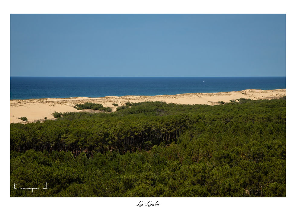 Contis-Plage avec sa longue plage de sable fin bordée par les dunes et la forêt de pins face à l’océan Atlantique