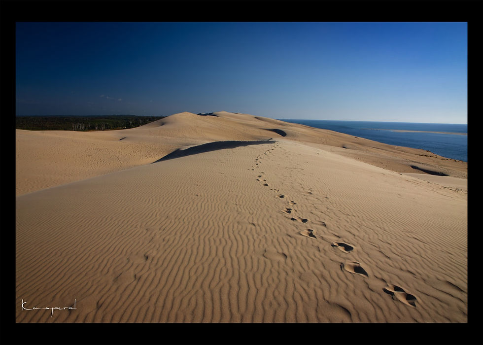 Traces de pas et motifs dessinés par le vent sur le sable d'une dune du Sud Ouest de la France