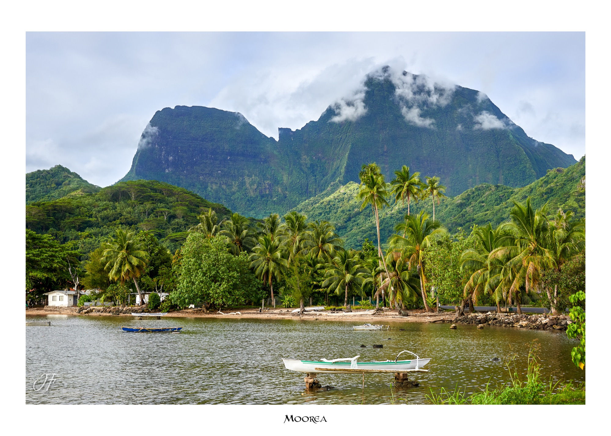 Montagne verdoyante qui domine un lagon entouré de palmiers en Polynésie