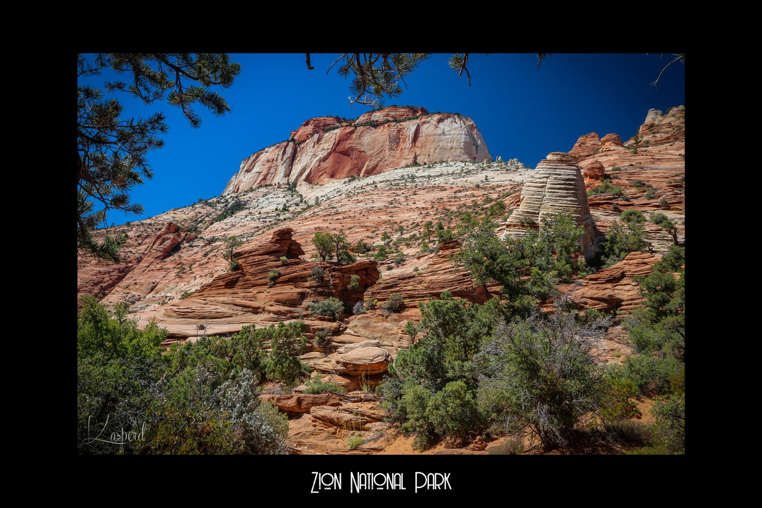 Zion National Park