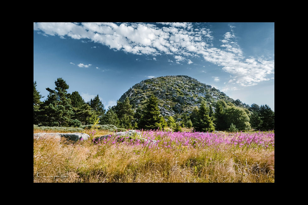 Miniature : Mont Gerbier de Jonc