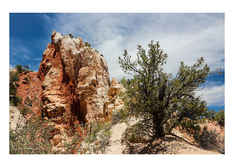 Miniature : Cottonwood Canyon Road