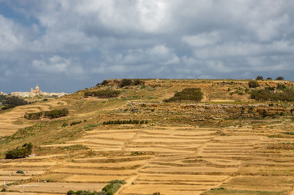 Miniature : Panorama sur les champs en terrasse de la campagne de l'île de Gozo