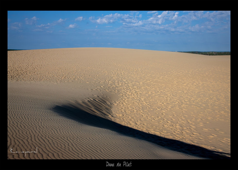 Belle ombre au creux d'une petite colline sur la dune du Pilat en Gironde