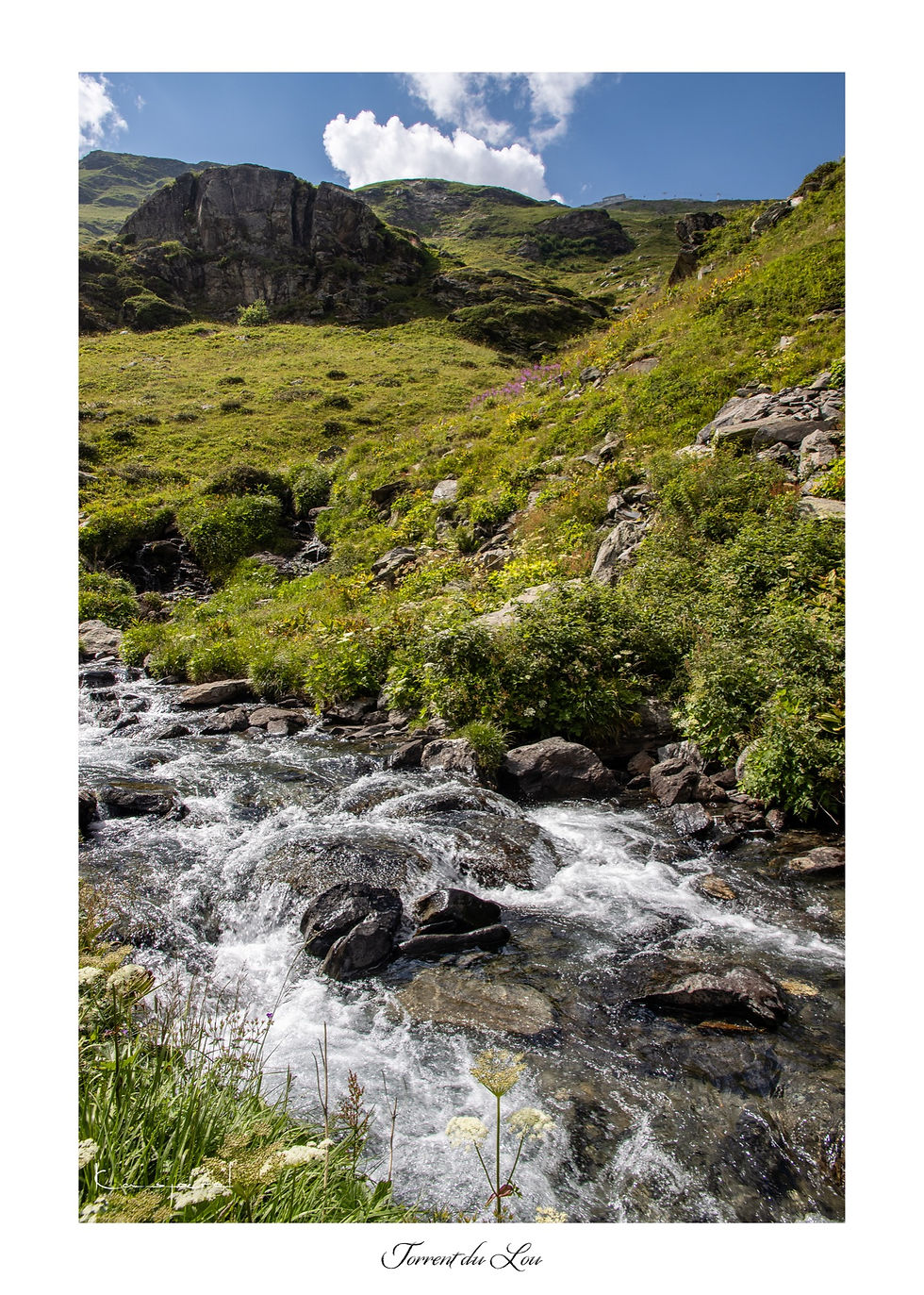 Torrent de montagne traversant une petite vallée