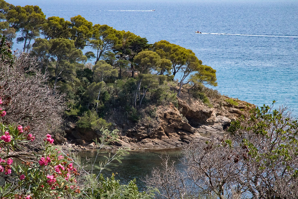 Domaine du Rayol