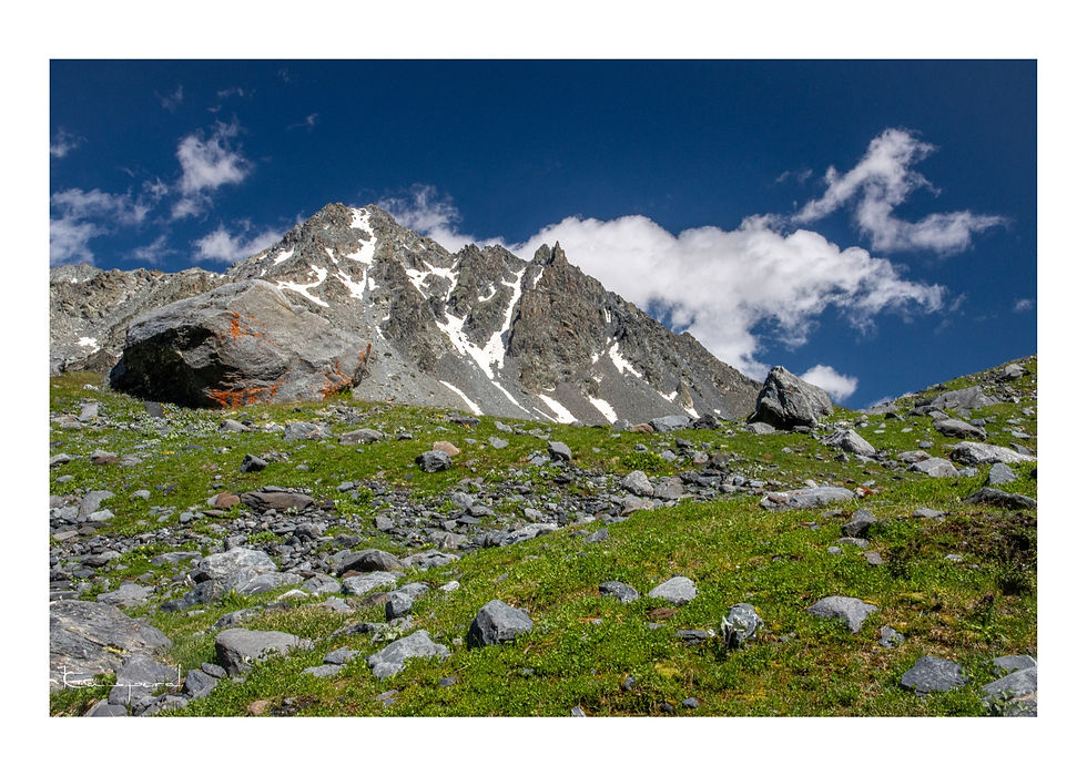 Sommet alpin dominant une prairie parsemée de rochers
