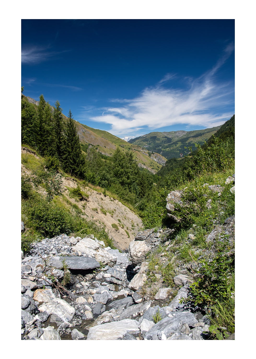 Vue sur une vallée alpine en été avec au fond le sommet du Mont-Blanc