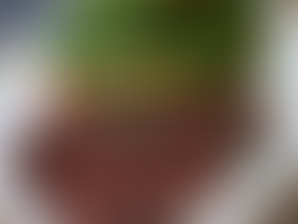 How we became the Top Seller of A5 Japanese Wagyu Steaks. Engineering the Perfect Sear: The Story of the Armoury Crust.