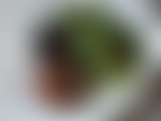 Best Value Ribeye and Striploin Steak in Singapore