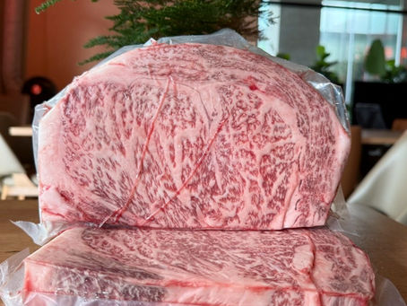 Armoury KILO BIG CUT: Engineering the Ultimate A5 Experience