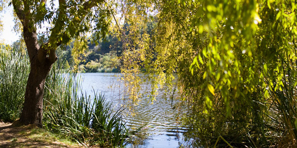 Temescal Park- Temescal North Lot